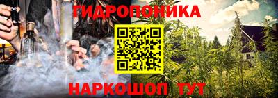 прущие грибы Ирбит