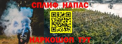 прущие грибы Ирбит
