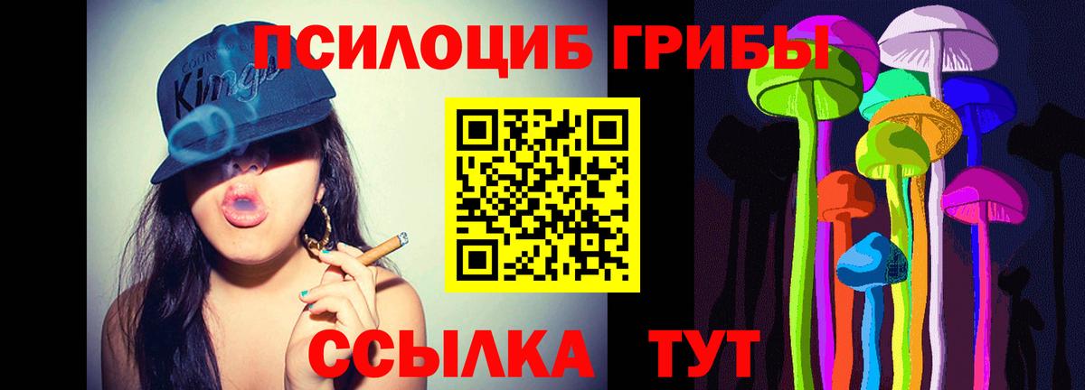 продажа наркотиков  Псилоцибиновые грибы GOLDEN TEACHER  Ялуторовск  Вход с VPN  Псилоцибиновые грибы мицелий 